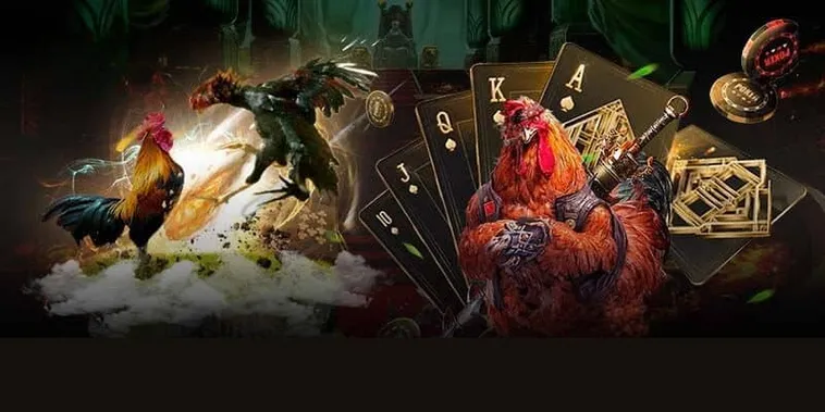 Chinh Phục Đá Gà GA28 Tại SEN88 Với Chiến Thuật Bất Bại