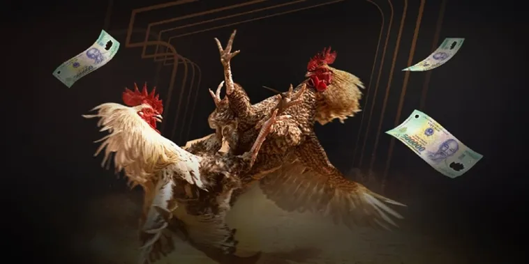 Đá Gà SEN88 Trực Tiếp Đỉnh Cao Rinh Thưởng Bạc Tỷ