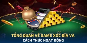 Bật Mí Mẹo Chơi Trò Chơi Xóc Đĩa Tại SEN88 Luôn Thắng